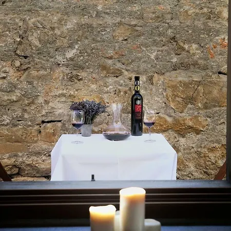 Prázdninový dům Blackbird House Historic Center *