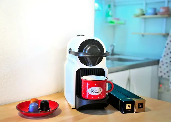 Blackbird House Historic Center 別荘 *